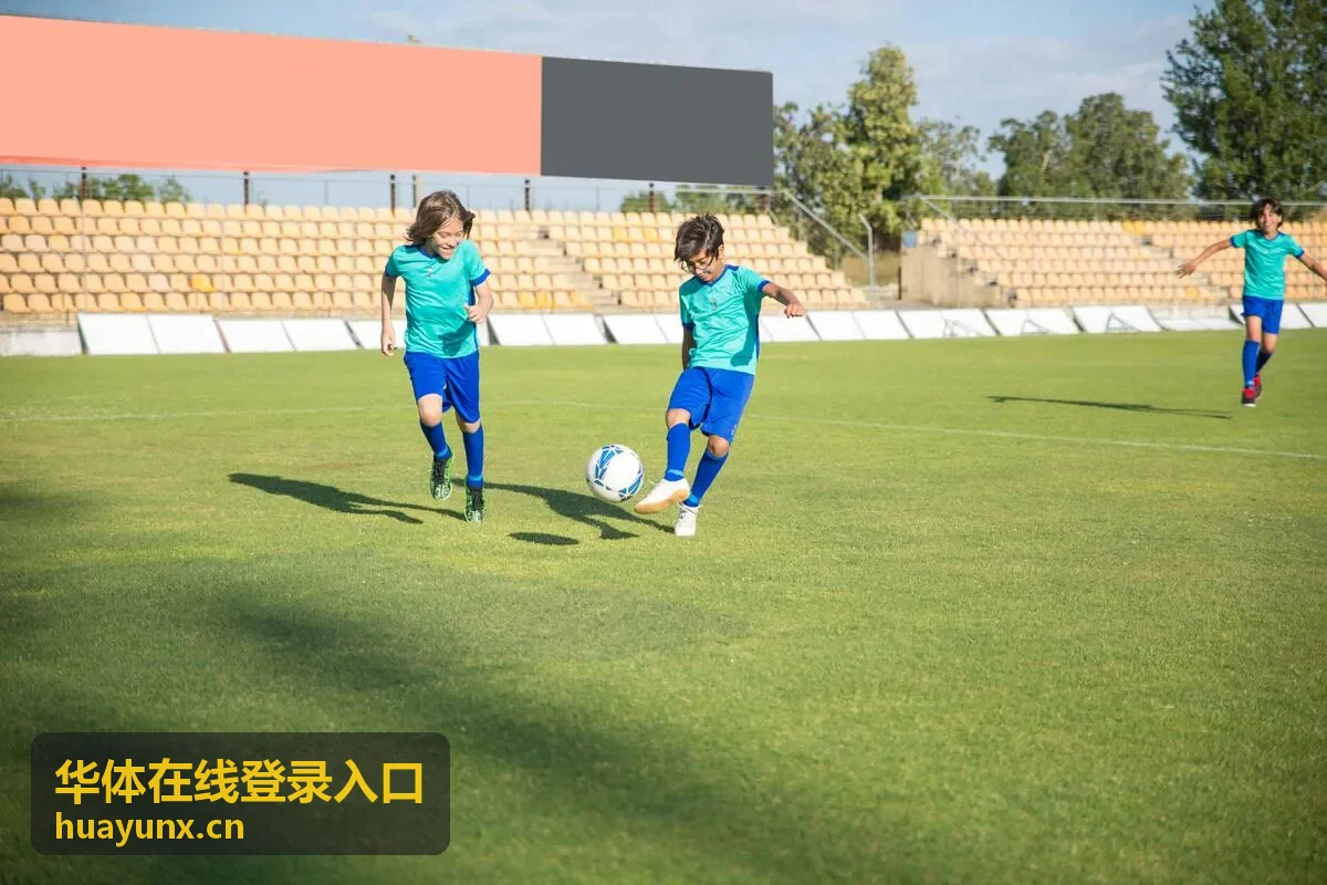 华体在线登录入口会员权益生效流程示意图